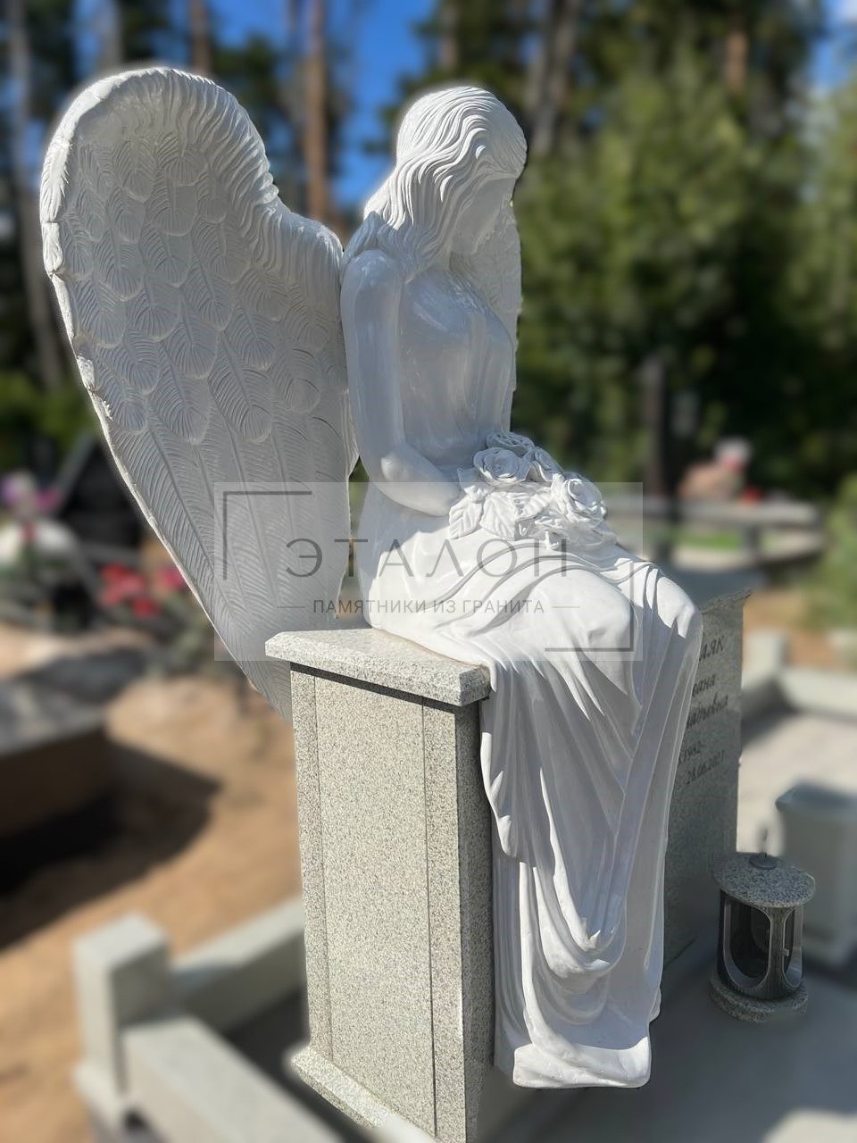 photo_2024-10-26_20-05-45