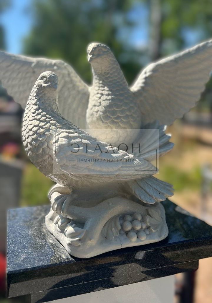 photo_2024-10-26_20-06-06 (2)